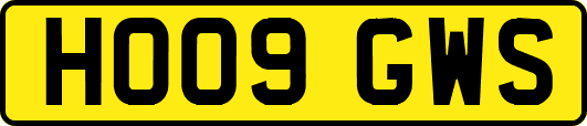 HO09GWS