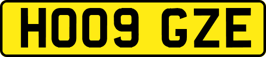 HO09GZE