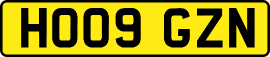 HO09GZN