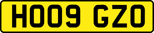 HO09GZO