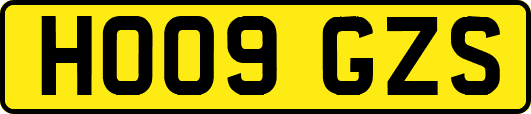 HO09GZS