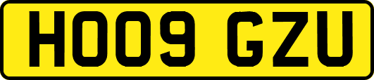 HO09GZU