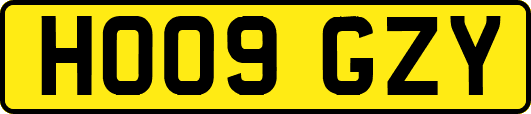 HO09GZY
