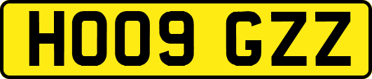 HO09GZZ