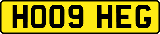 HO09HEG