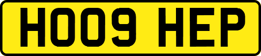 HO09HEP