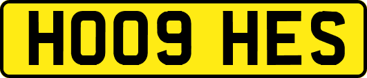 HO09HES