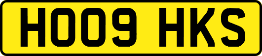 HO09HKS