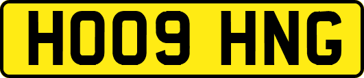 HO09HNG