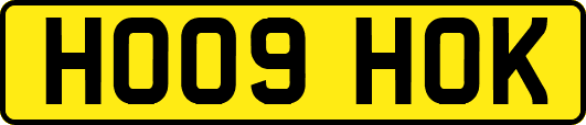 HO09HOK