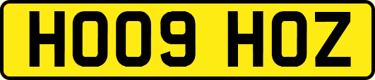 HO09HOZ