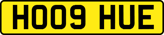 HO09HUE