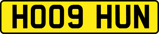 HO09HUN