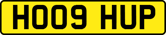 HO09HUP