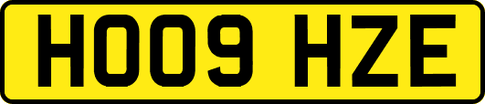 HO09HZE
