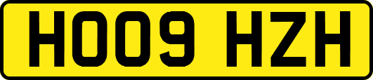 HO09HZH