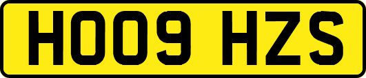 HO09HZS