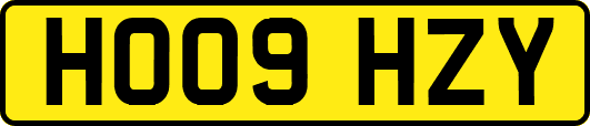 HO09HZY