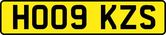 HO09KZS