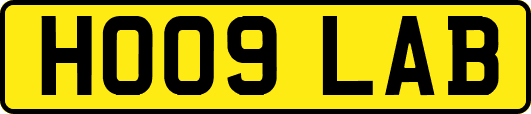 HO09LAB
