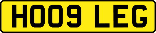HO09LEG