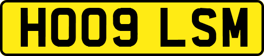 HO09LSM