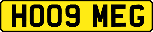 HO09MEG
