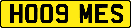 HO09MES