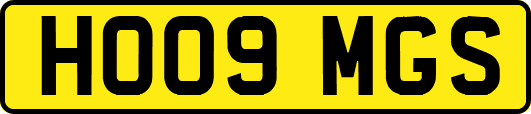 HO09MGS