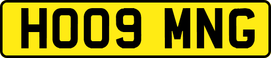 HO09MNG