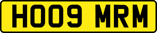 HO09MRM