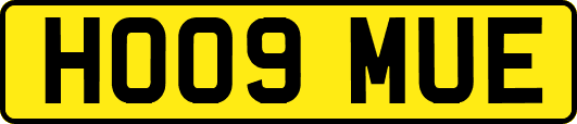 HO09MUE