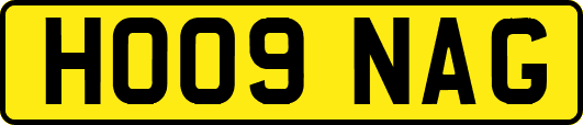 HO09NAG