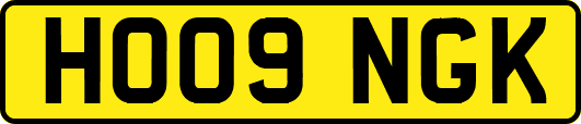 HO09NGK
