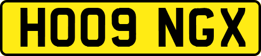 HO09NGX
