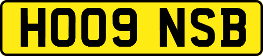 HO09NSB