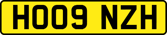 HO09NZH