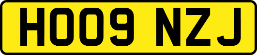 HO09NZJ
