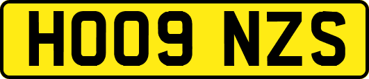 HO09NZS