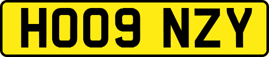 HO09NZY