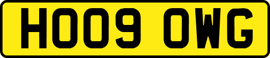 HO09OWG