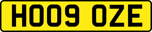 HO09OZE