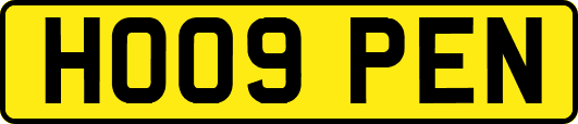HO09PEN