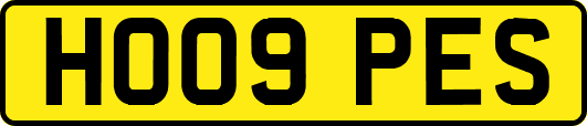 HO09PES