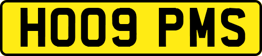 HO09PMS