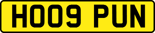 HO09PUN
