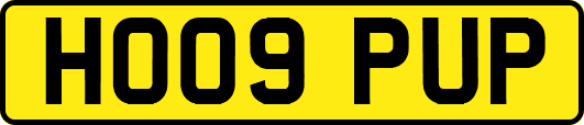 HO09PUP