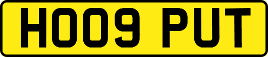 HO09PUT