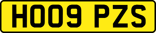 HO09PZS