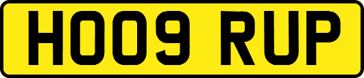 HO09RUP